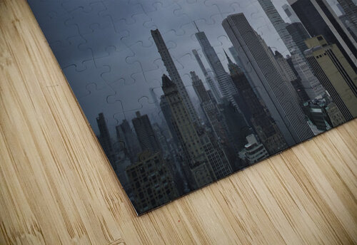 Central Park 22 Mischa puzzle