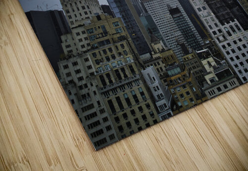 Central Park 1 Mischa puzzle