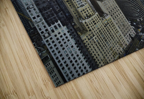 Central Park 9 Mischa puzzle