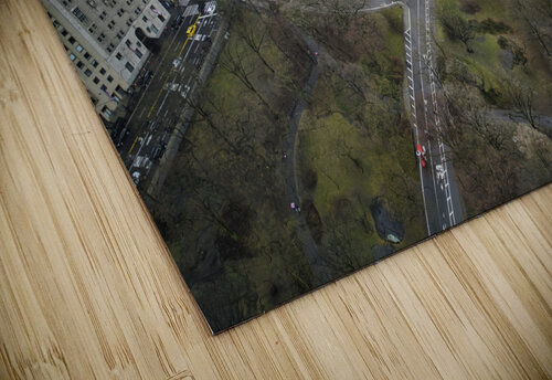 Central Park 7 Mischa puzzle