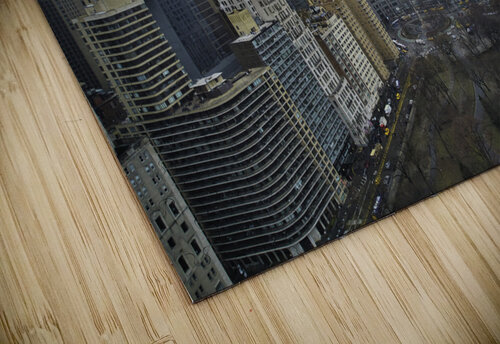 Central Park 5 Mischa puzzle