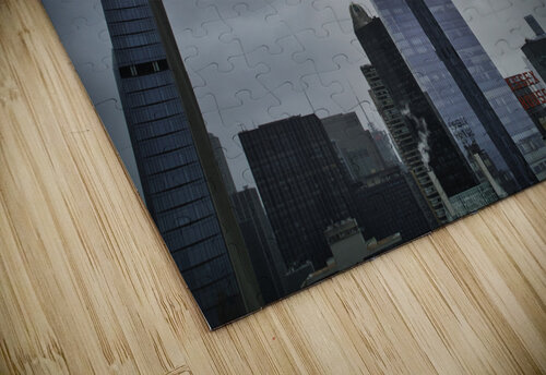 Central Park 2 Mischa puzzle