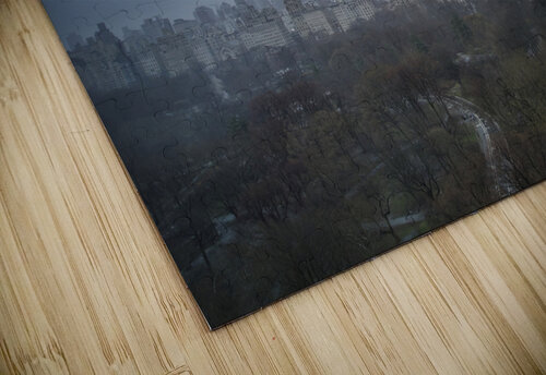 Central Park 25 Mischa puzzle