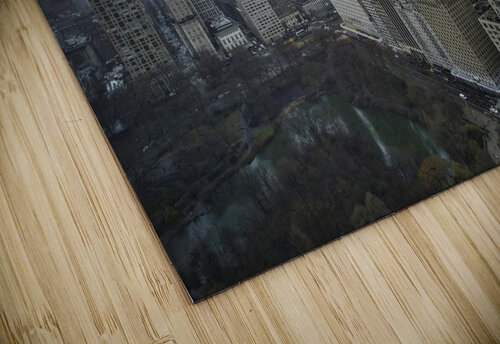 Central Park 21 Mischa puzzle