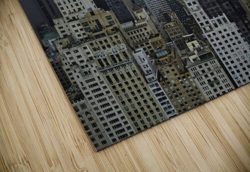 Central Park 12 Mischa puzzle