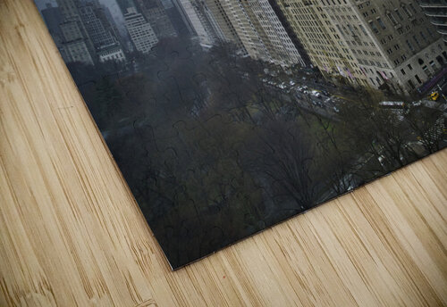Central Park 26 Mischa puzzle