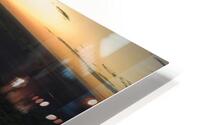 Rosebud Sunset 1 HD Metal print