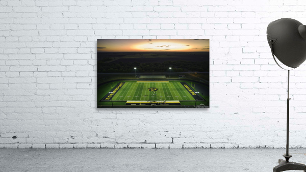 Rosebud Sunset 1 Wall Preview