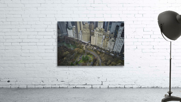 Central Park 14 Wall Preview