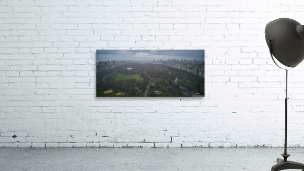 Central Park 3 Wall Preview