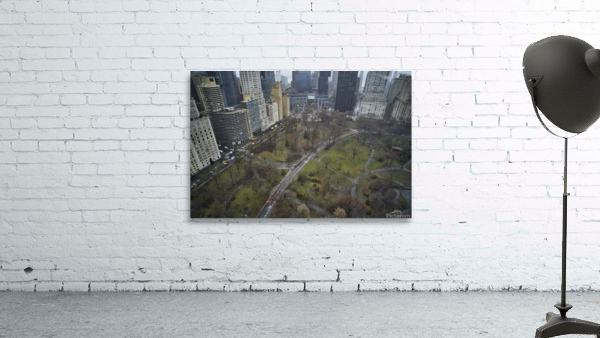 Central Park 7 Wall Preview
