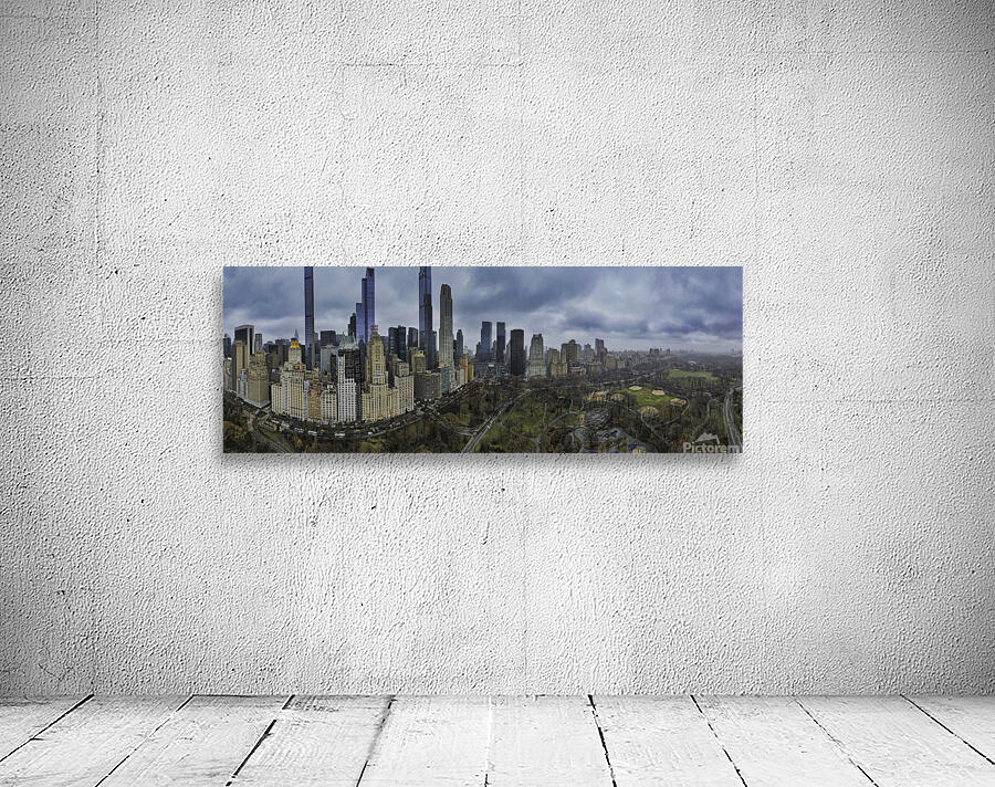 Central Park panorama Wall Preview