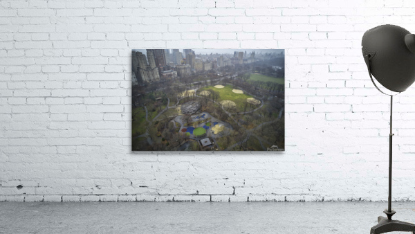 Central Park 17 Wall Preview