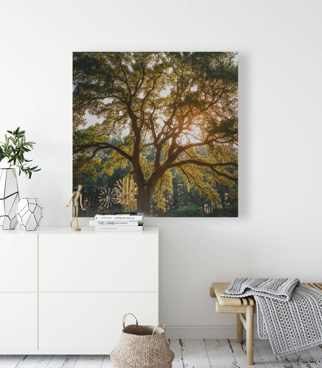 Sunlit Canopy Reproduction