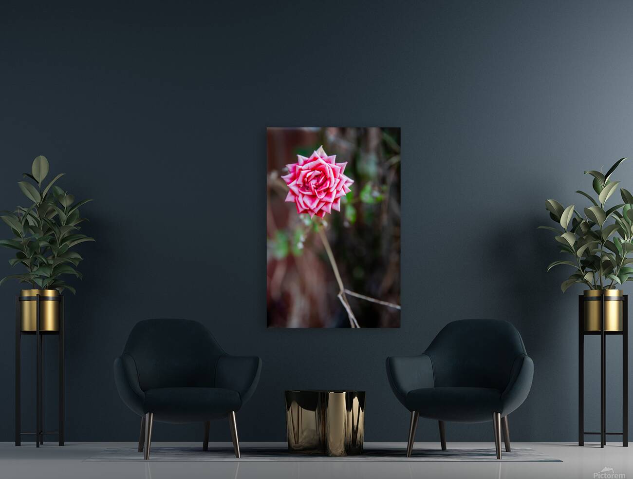 Fading Rose Reproduction