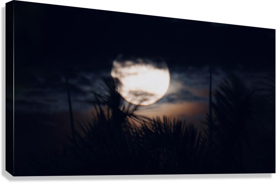 Miami  Moonrise Canvas Print