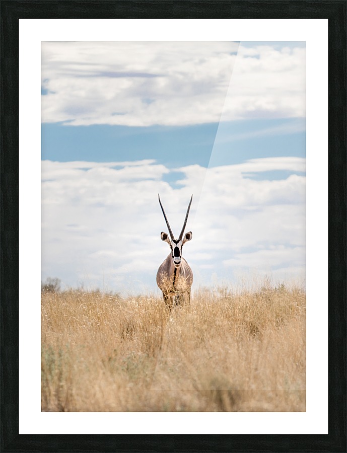 The Staredown Picture Frame print