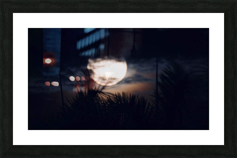 Miami  Moonrise Picture Frame print