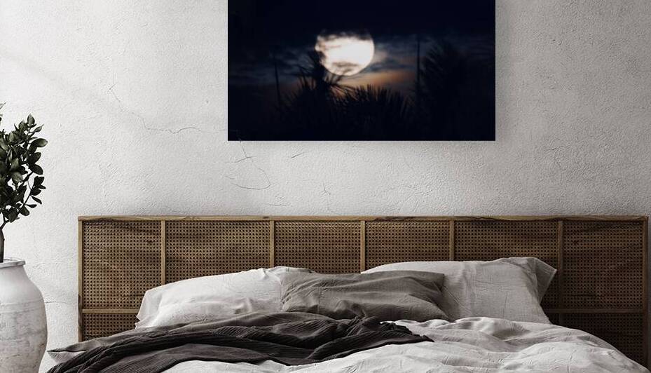 Miami  Moonrise by Chris Stahl Photography