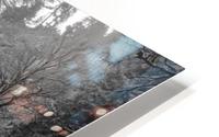 Multnomah HD Metal print