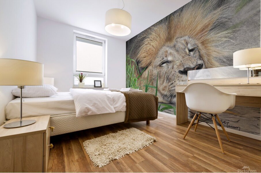 Sleeping Lion Mural print