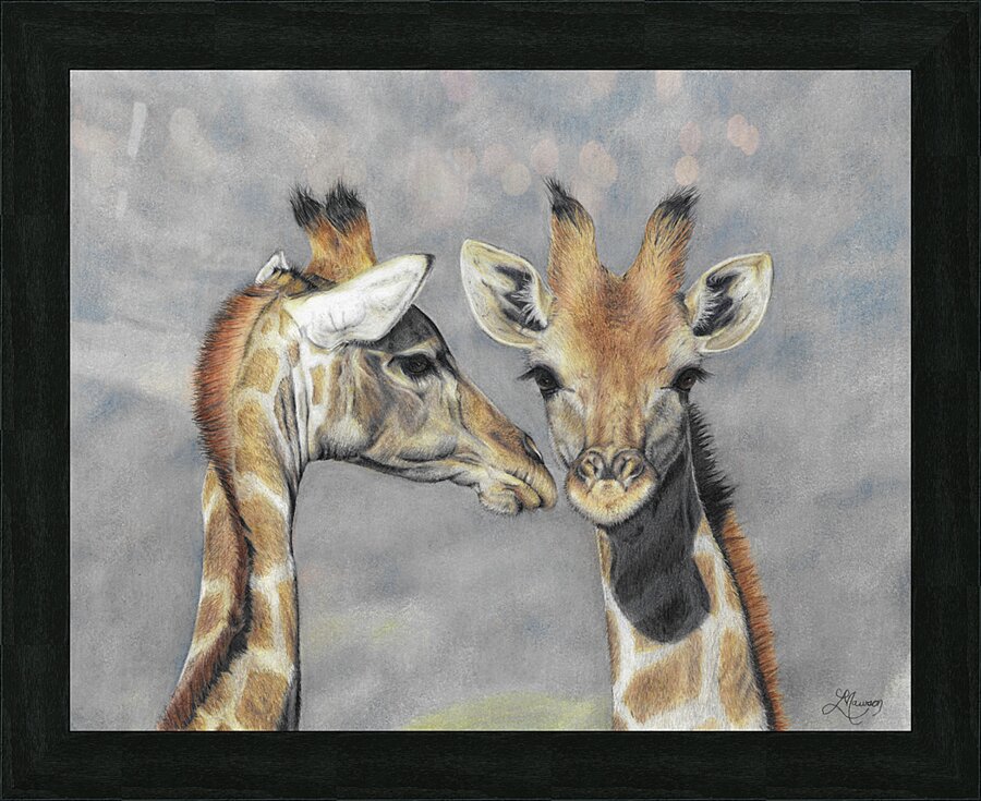 Giraffes Interrupted Picture Frame print