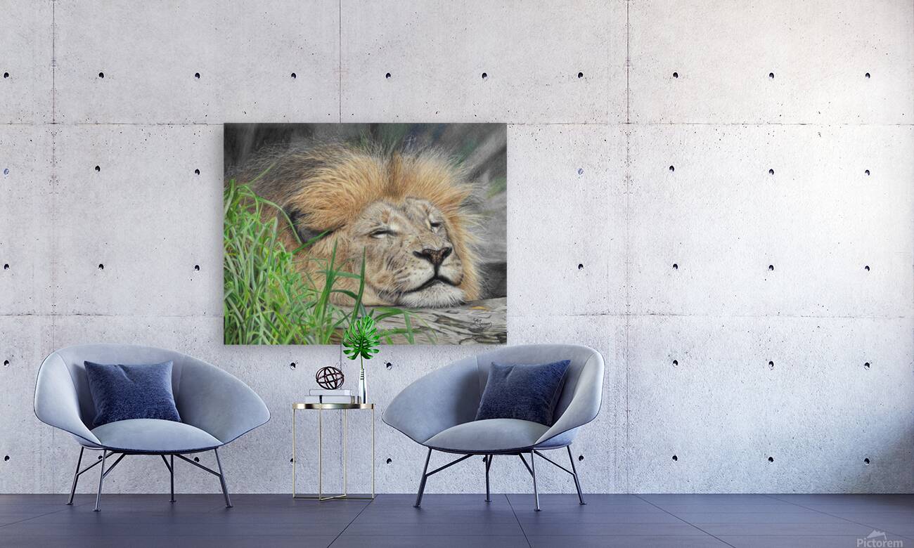 Sleeping Lion Reproduction