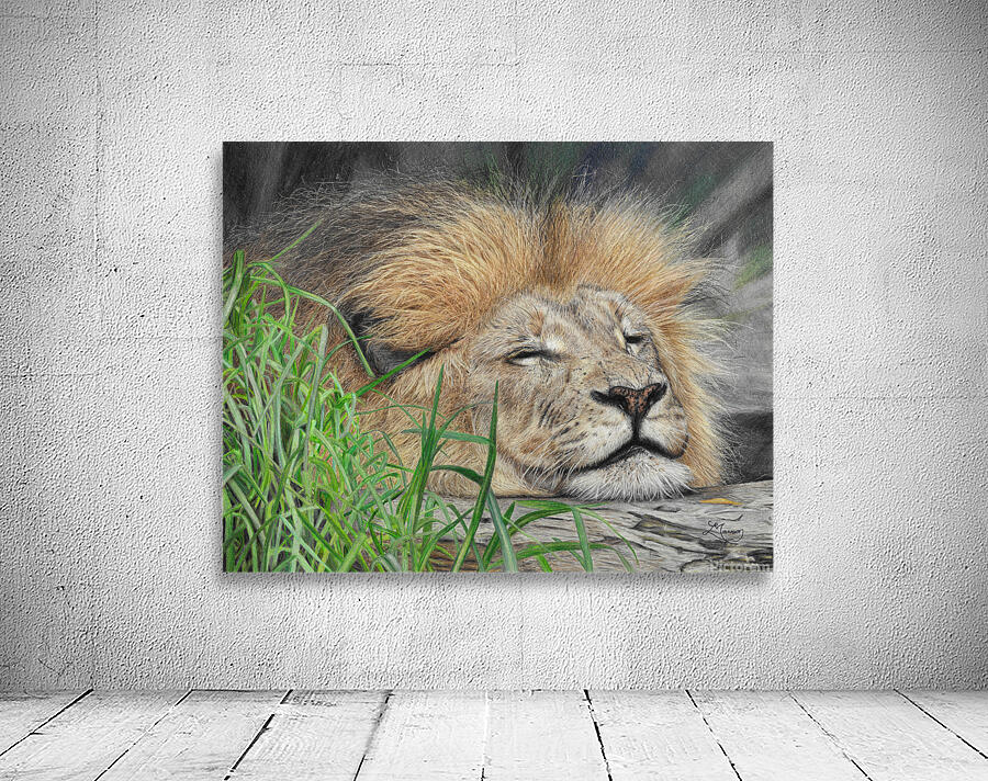 Sleeping Lion Wall Preview