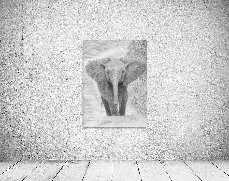 Young Elephant Wall Preview