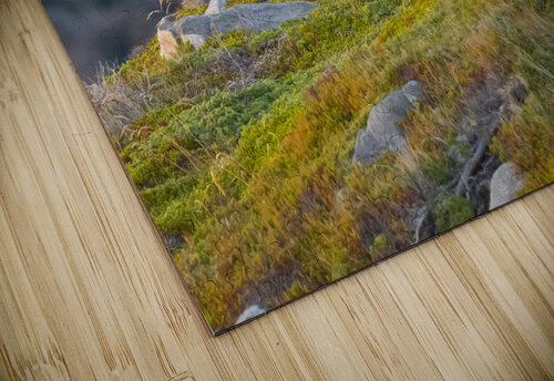 IMG 2163 Edit 2 Alexis Michaud Photographie puzzle