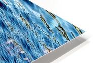 Wild waters  HD Metal print