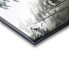  Foggy trees on the west coast Acrylic print