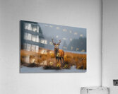 yakynuka Red deer are the iconic wildlife of the Acrylic Print