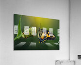 metamorphosis Acrylic Print
