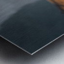 yakynuka Red deer are the iconic wildlife of the Metal print