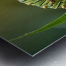 metamorphosis Metal print