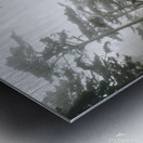  Foggy trees on the west coast Metal print