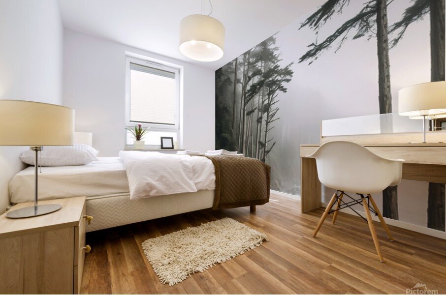  Foggy trees on the west coast Mural print