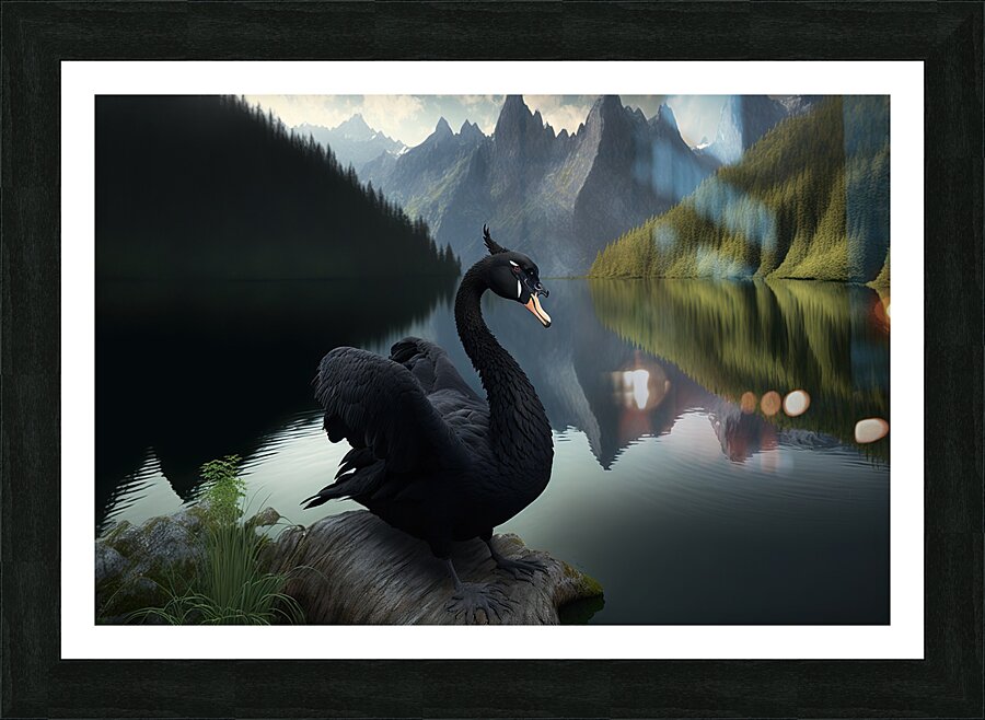  Fine Art print