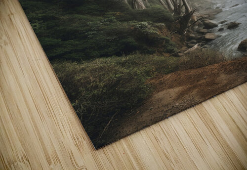  Foggy trees on the west coast Joaquin Corbalan puzzle