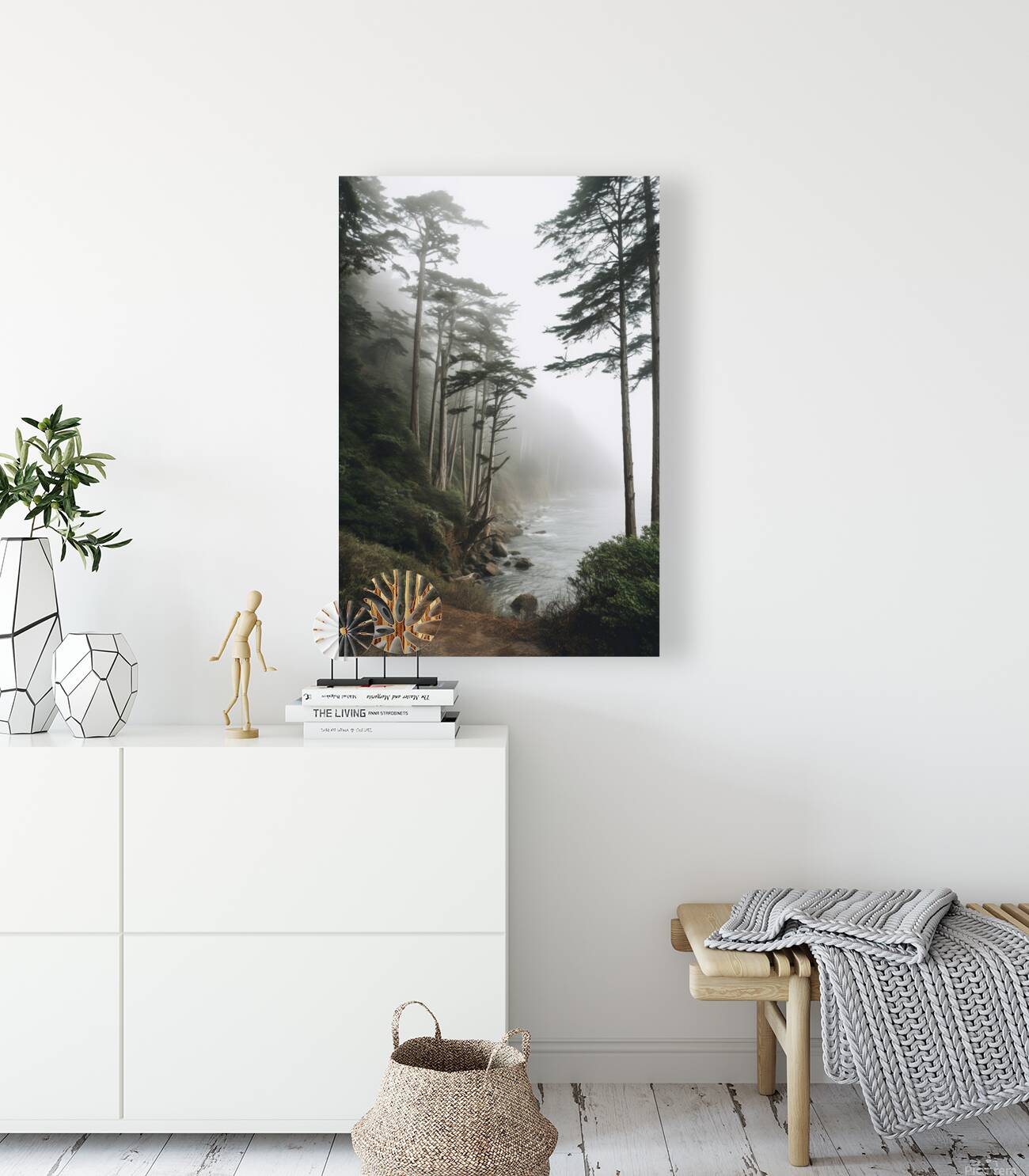  Foggy trees on the west coast Reproduction