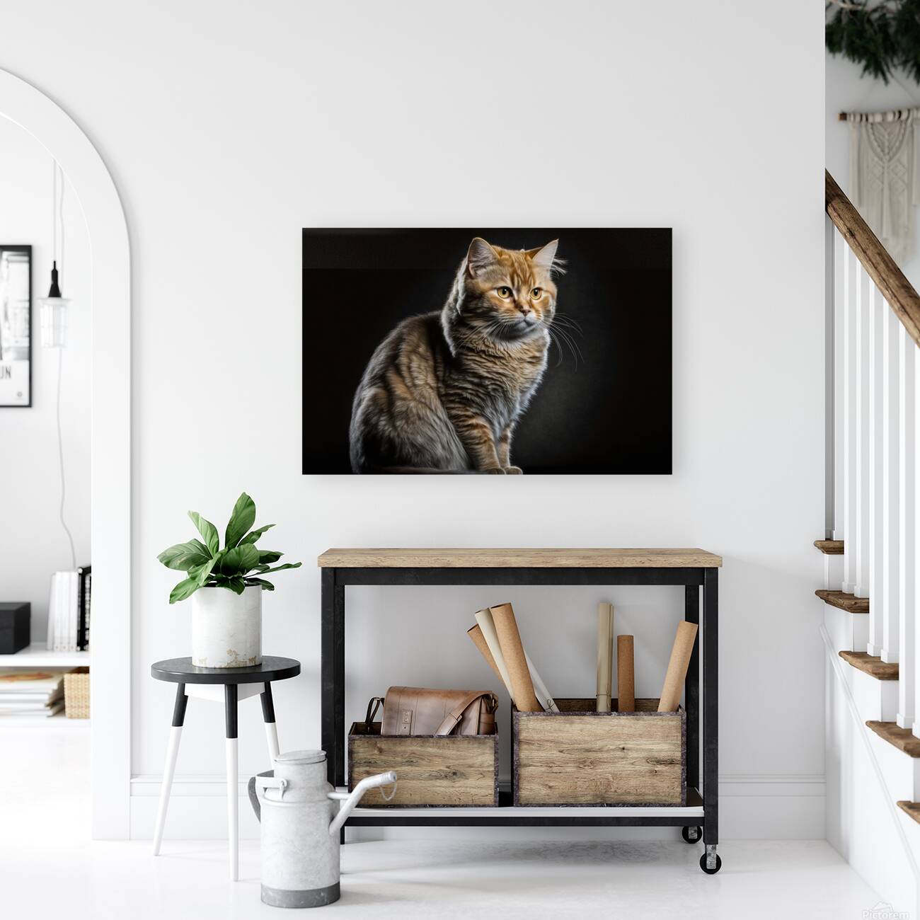 Portrait of a furry calm cat posing on a black background. Ai g by ...