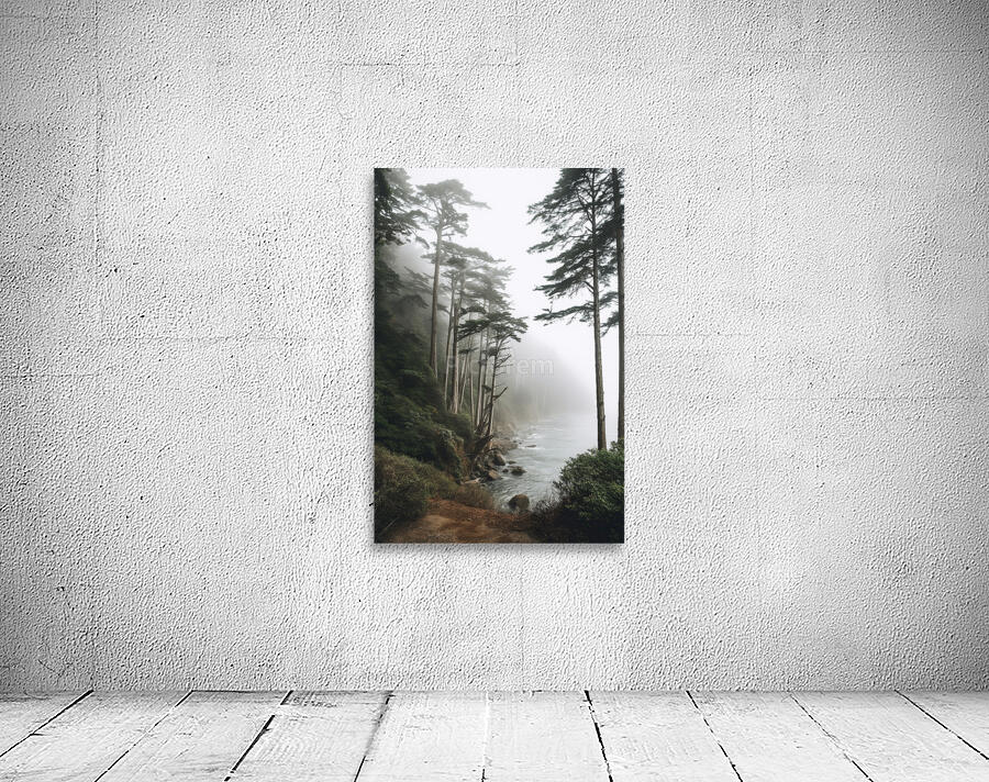  Foggy trees on the west coast Wall Preview