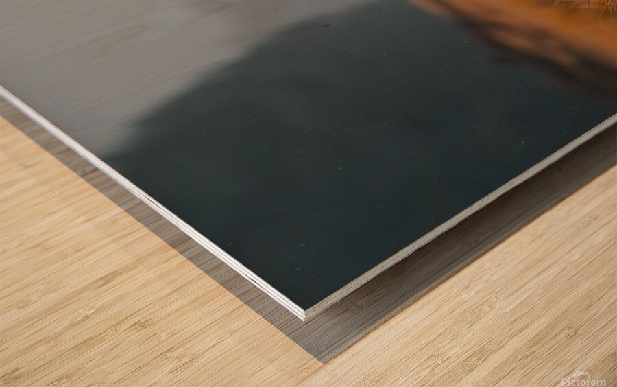 yakynuka Red deer are the iconic wildlife of the Wood print