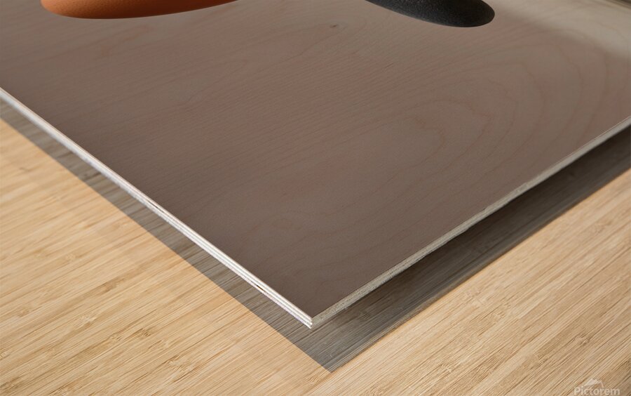 yakynuka Concept about balance and strength egg a Wood print