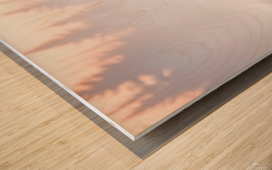 A reindeer searches for grass sprouts in the snow Wood print