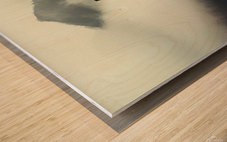 irene yakynuka Contemporary artwork collage conce Wood print