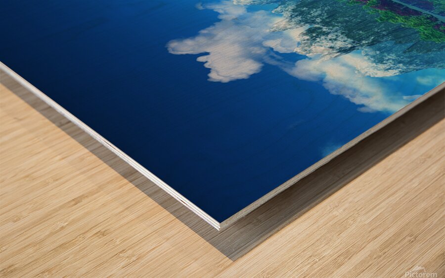 mountains with snow trees Wood print