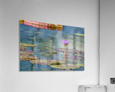 Como Conservatory - No. 1 Acrylic Print