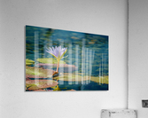 Como Conservatory - No. 3 Acrylic Print